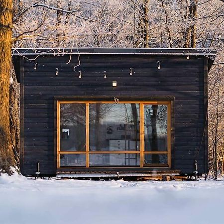 Beautiful Tiny House On The Lake Side. Trakai Εξωτερικό φωτογραφία